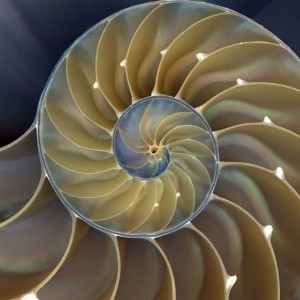 spirale_complexite
